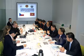 Gia Lai déroule le tapis rouge aux investisseurs tchèques