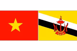 Vietnam - Brunei : volonté commune de dynamiser la coopération