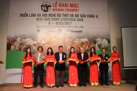 Vietnam-Australie : coopération dans l’élevage bovin
