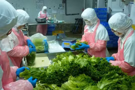 Elever la capacité logistique pour le développement du secteur des fruits et légumes