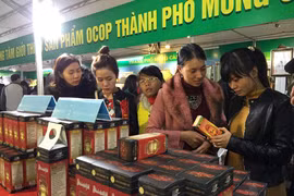 Activités à l’occasion du Tet à Quang Ninh et Long An