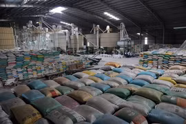 Les exportations ont le vent en poupe