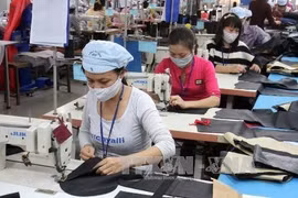 Les entreprises vietnamiennes invitées à intensifier les exportations vers l'UE