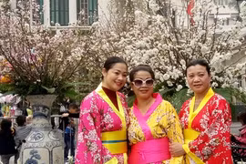 La fête des cerisiers en fleurs au cœur de Hanoï