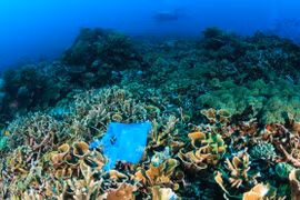 L'ASEAN discute de la gestion des plastiques océaniques
