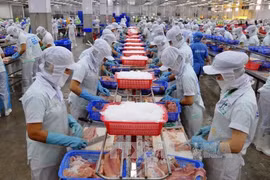 Le Vietnam et les États-Unis boostent leur coopération dans l’agriculture