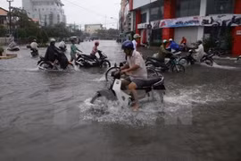 Le Japon soutient le Vietnam dans la réduction des émissions de CO2