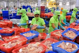 Hausse des exportations de produits agricoles, sylvicoles et aquacoles au premier trimestre
