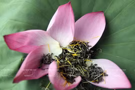 Le plaisir des Hanoïens de boire du thé au lotus 