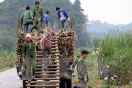 Le Vietnam s’intéresse toujours à la réduction durable de la pauvreté