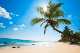 Tourisme : Phu Quoc table sur 1,8 millions de touristes en 2017 