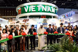 Des entreprises vietnamiennes sondent les opportunités du marché émirati