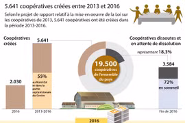 5.641 coopératives créées entre 2013 et 2016