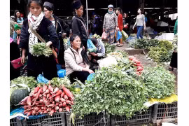 Promenade au marché de Sa Pa