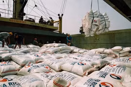 Riz : hausse record du cours à l'export depuis trois ans
