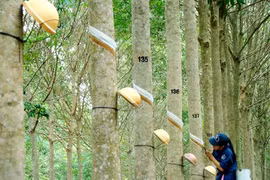 Vietnam et Cambodge visent 5 milliards de dollars de commerce bilatéral