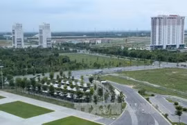 Construction d'une zone de production d'entreprises taïwanaises à Binh Duong