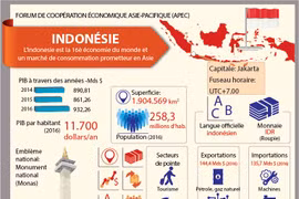 [Infographie] FORUM DE COOPÉRATION ÉCONOMIQUE ASIE-PACIFIQUE (APEC) - Indonésie