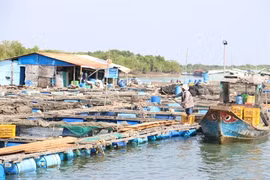 Voyage au village des huîtres de Long Son