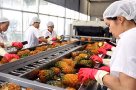 2,64 milliards de dollars d'exportations pour les fruits et légumes 