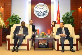 Vietnam et Angola coopèrent dans les télécommunications 