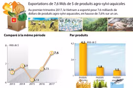 Exportations de 7,6 Mds de $ de produits agro-sylvi-aquicoles au 1er trimestre