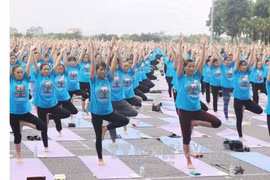 Journée internationale du yoga à Vinh Phuc 