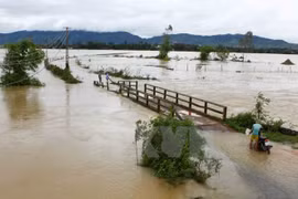 Octroi de près de 3.600 tonnes de riz à Ha Tinh et Son La