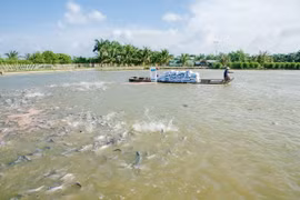 9 milliards de dollars d’exportations de produits aquatiques