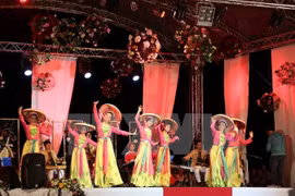 Le Vietnam se produit au Festival du folklore mondial en Roumanie