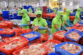 Exportations nationales estimées à 43,03 milliards de dollars au 1er trimestre