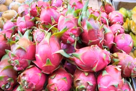Les exportations nationales de fruits et légumes sont au beau fixe