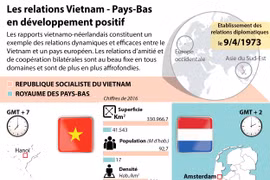 Les relations Vietnam - Pays-Bas en développement positif