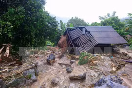 Le Japon au chevet des localités vietnamiennes touchées par les inondations