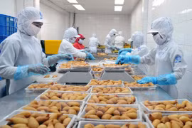 2017: bond des exportations de marchandises d’Hô Chi Minh-Ville