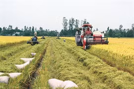 Assurer la sécurité alimentaire dans le contexte du changement climatique
