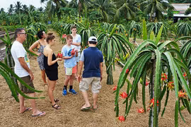 Tourisme: le Vietnam table sur l’objectif de 35 milliards de dollars dans 4 prochaines années