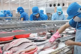 Forte croissance des exportations de pangasius en Chine