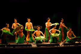 Le Vietnam se produit au Festival du folklore mondial