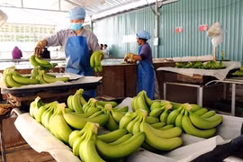 2,84 milliards de dollars d'exportations pour les fruits et légumes en dix mois