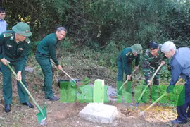Construction d’un réseau de bornes subsidiaires Dak Nong-Mondulkiri (Cambodge) 