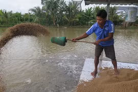 La filière pangasius doit s’orienter vers le développement durable