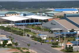 Les entreprises américaines cherchent les opportunités d’affaires à Binh Duong