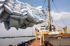 Le Vietnam devrait exporter plus de 5 millions de tonnes de riz en 2017