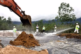 Décontamination de la dioxine par les micro-organismes