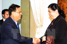 Vietnam-Laos : les assemblées nationales renforcent leurs relations 