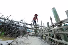 Traversée de la rivière en radeau de bambou