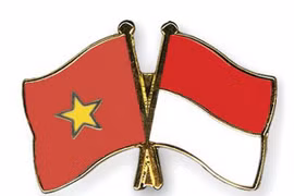 Rôle des organisations régionales dans le renforcement de la coopération Vietnam-Indonésie