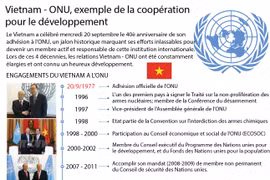 Vietnam - ONU, exemple de la coopération pour le développement
