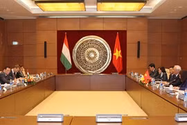 Renforcement de la coopération multiforme Vietnam-Hongrie